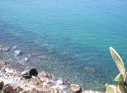 Il cristallino mare di Calabria