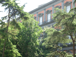 Napoli - Biblioteca nazionale
